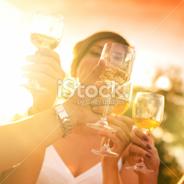 stock-photo-36257258-friends-toasting-at-party-for-the-happy-hour