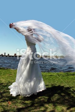 stock-photo-564419-bride-outdoors